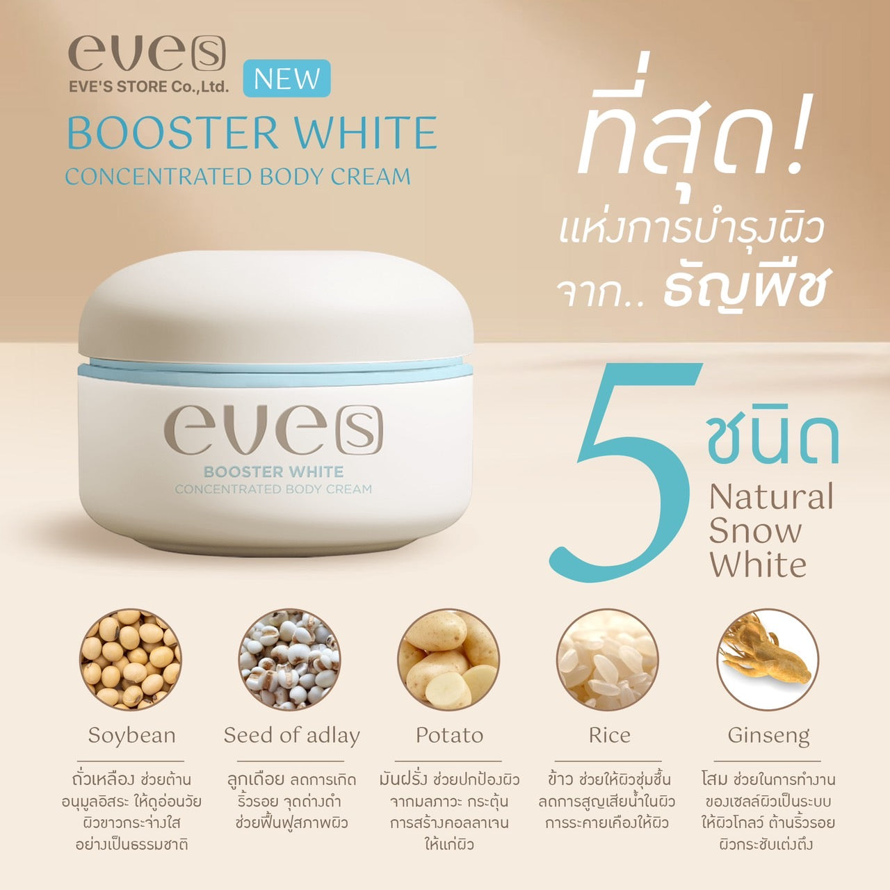 NEW EVE’S Booster White Stretch Mark Dark Spots Reduce