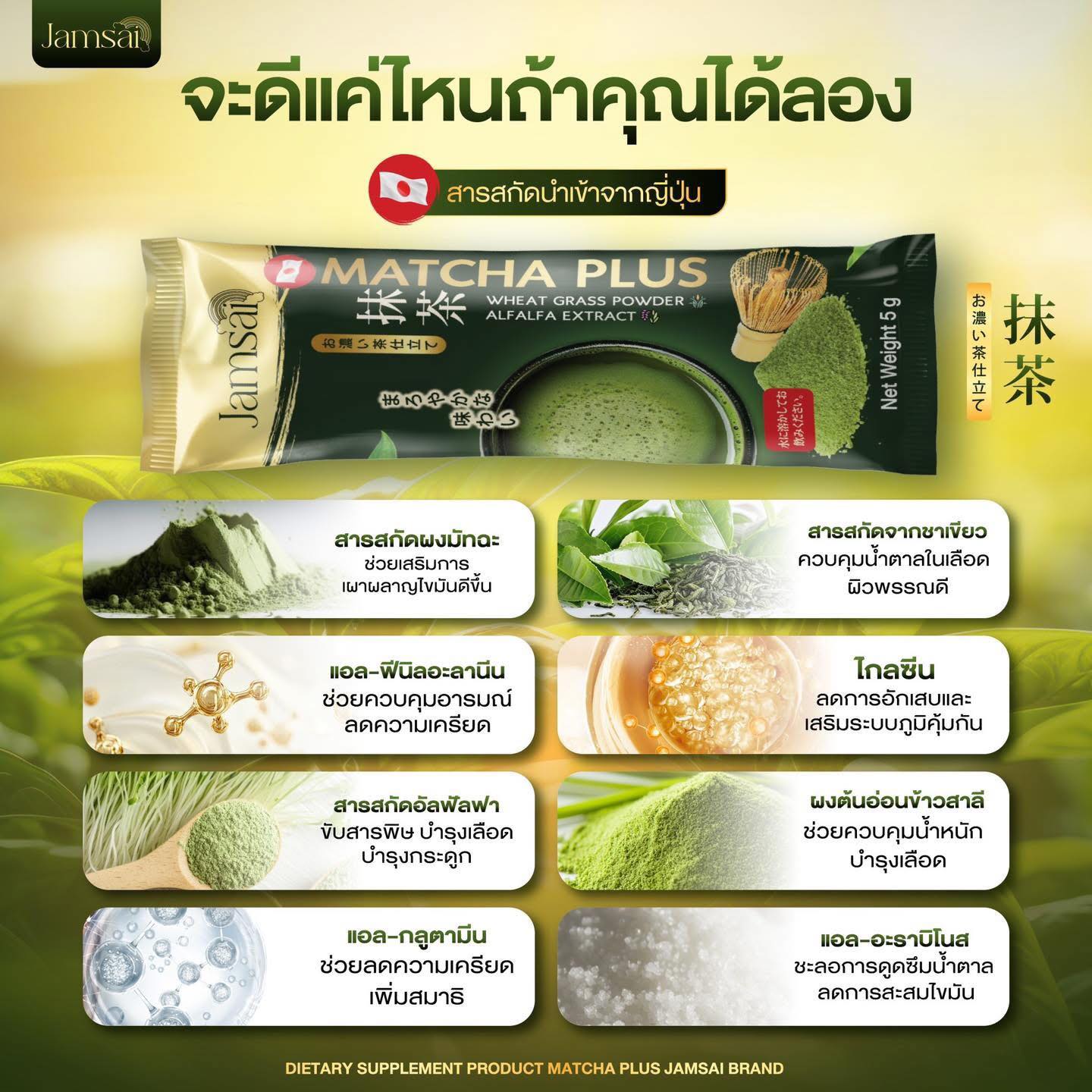 Jamsai Matcha Plus