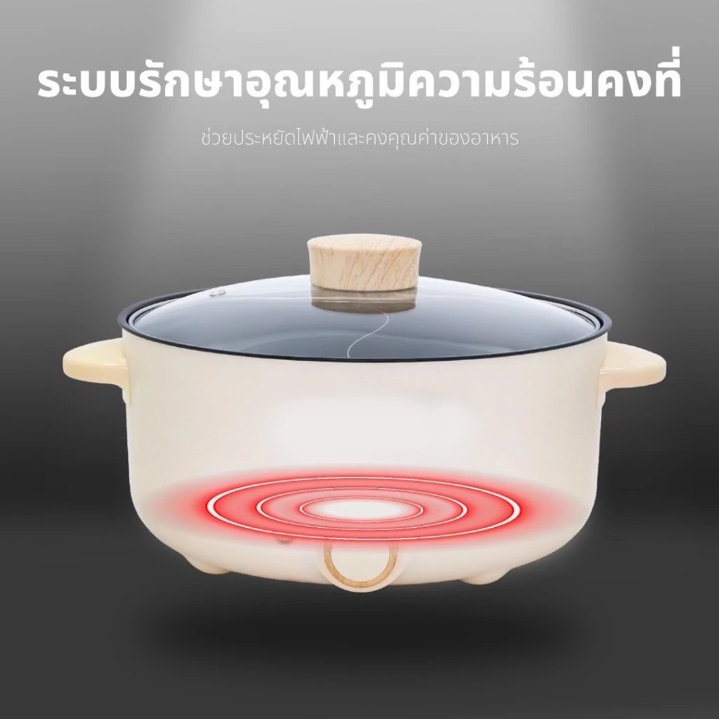 Kashiwa Electric Multi-Purpose Pot
