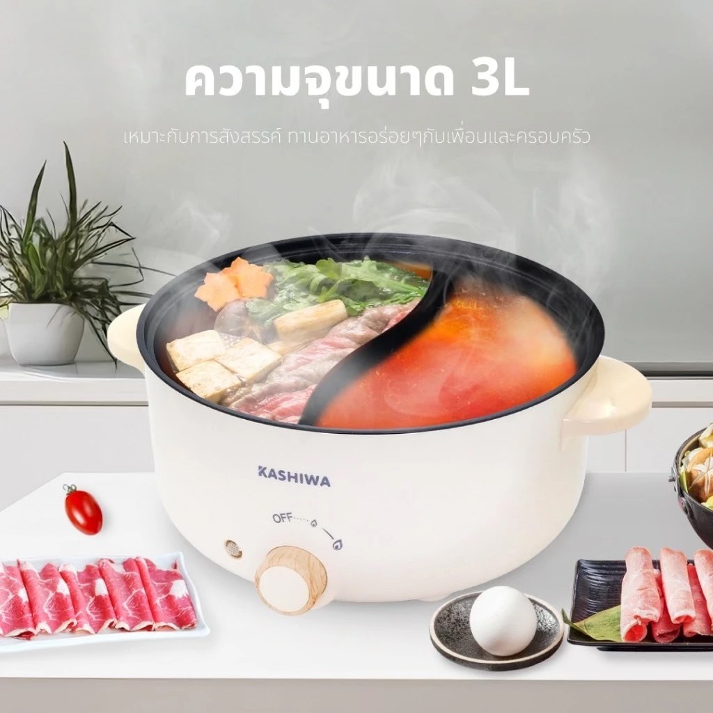 Kashiwa Electric Multi-Purpose Pot