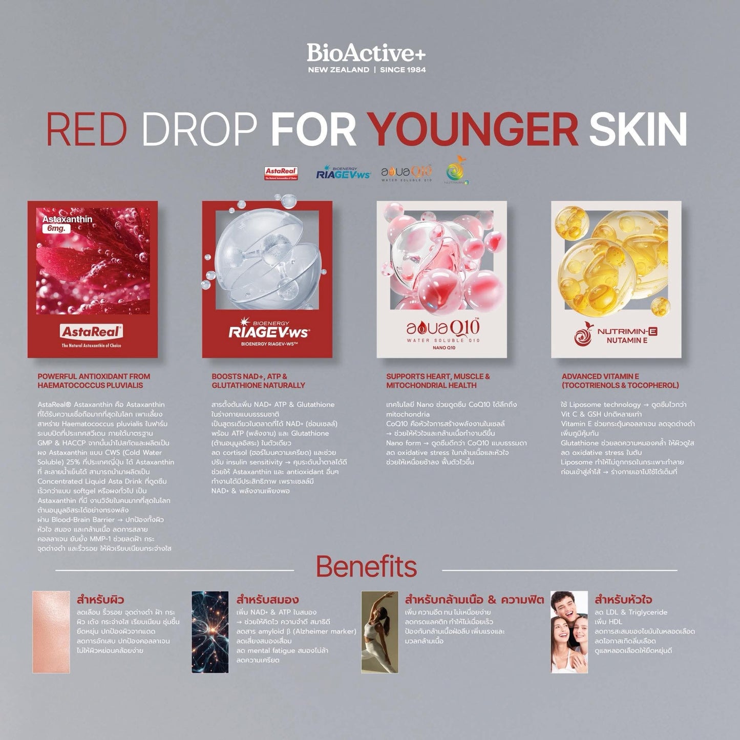 BioActive+ Concentrated Liquid Asta Drink