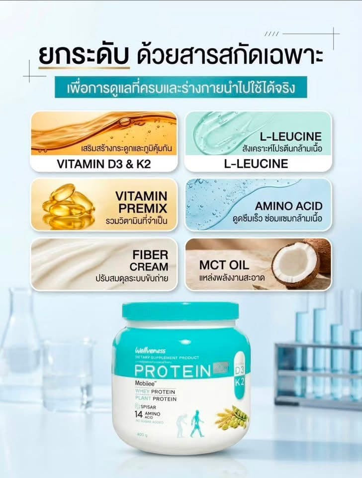 Wellveness Protein – Plant Protein
