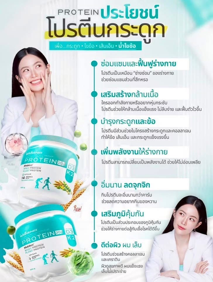 Wellveness Protein – Plant Protein