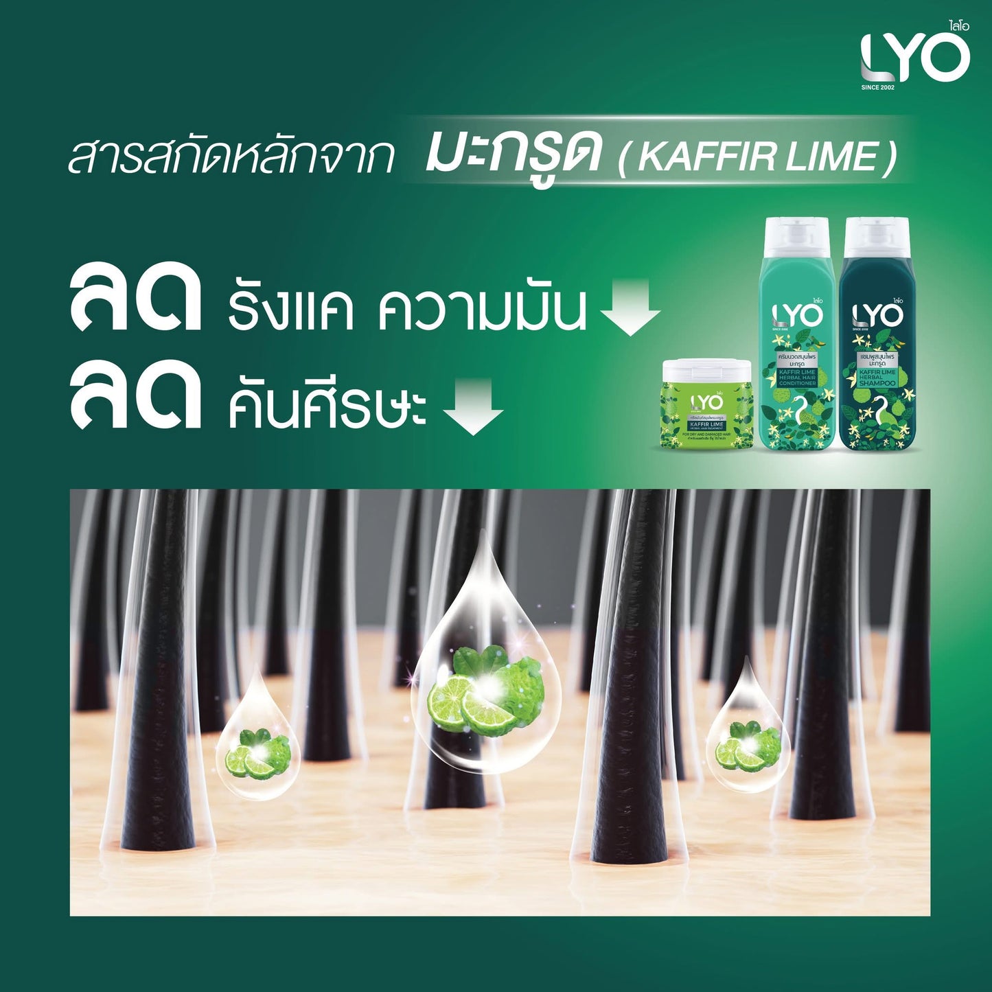 LYO Kaffir Lime Herbal Hair Treatment