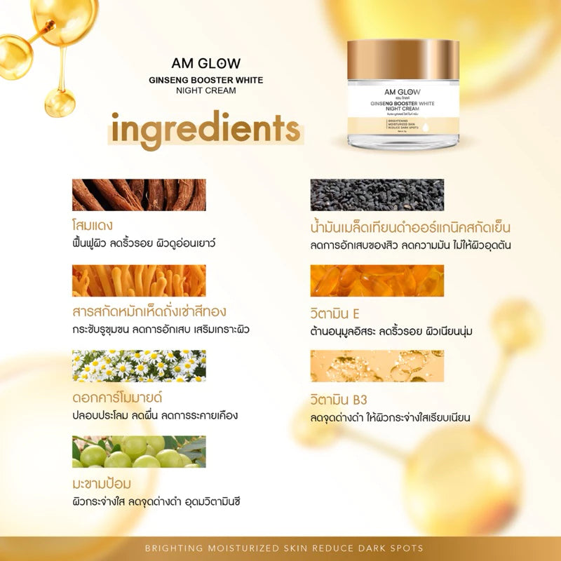 AM GLOW GINSENG BOOSTER WHITE NIGHT CREAM
